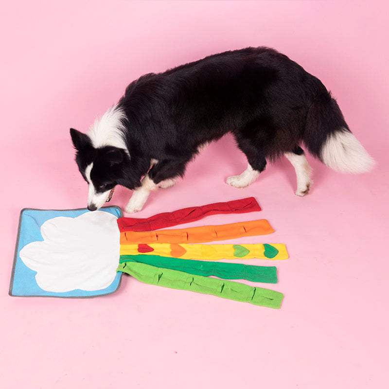 Pet Rainbow Enrichment Mat