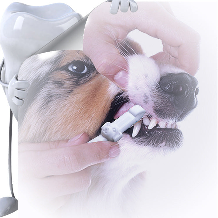 Pet  Cleaning Wipe Portable Tooth Cleaning Tool