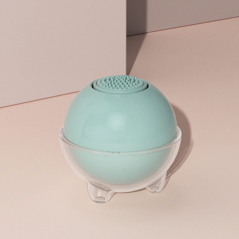 Pet Hair Removal Cleaning Brush