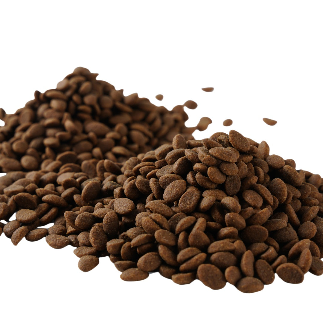 High-Protein Premium Dry Cat & Kitten Food – Grain-Free, Premium Meat Formula