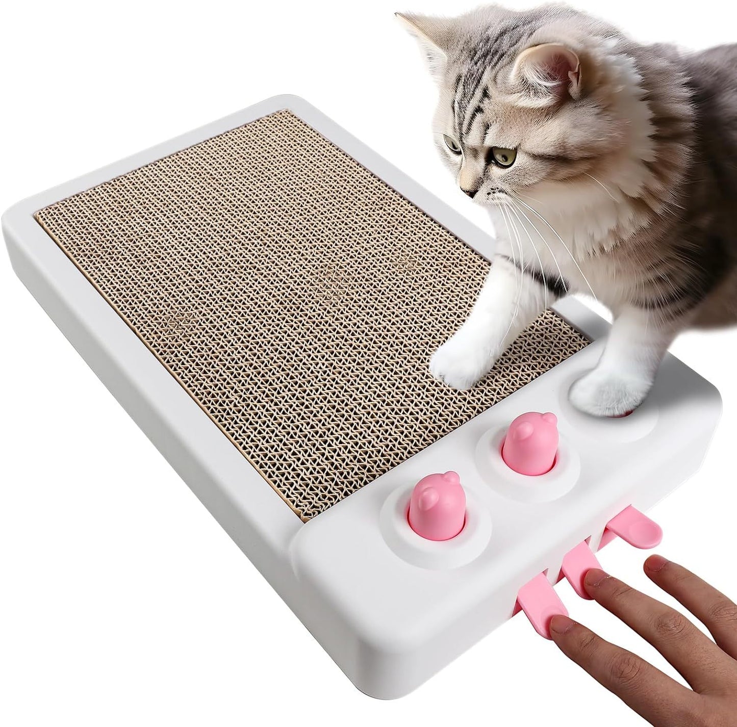 Cats Enrichment Toys