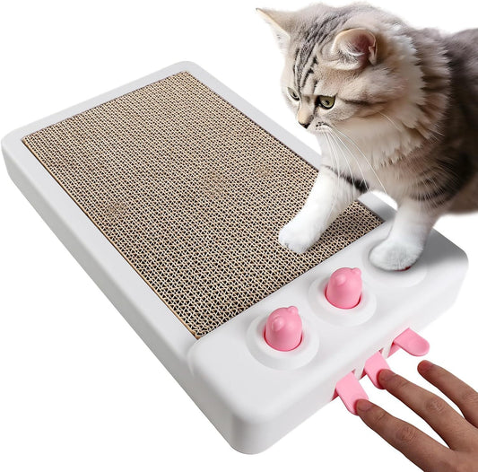 Cats Enrichment Toys