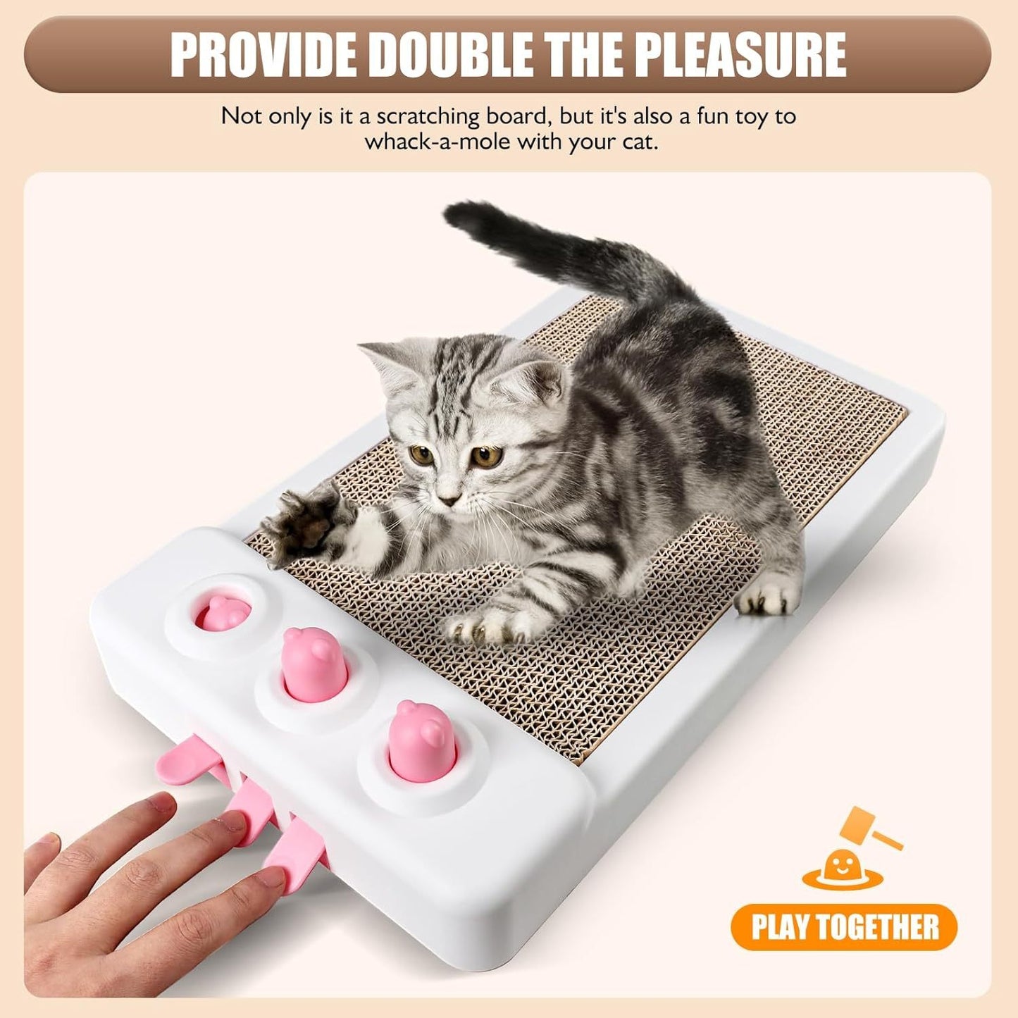 Cats Enrichment Toys